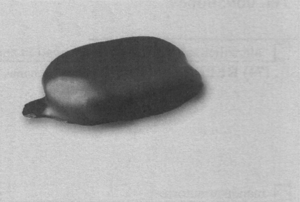 Thumbnail image  18546