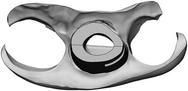 Thumbnail image  21422