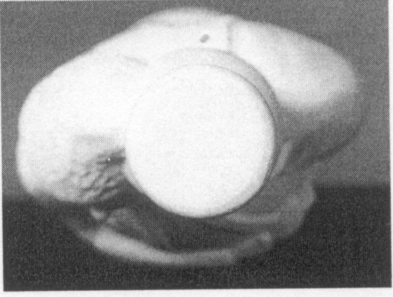 Thumbnail image  2240