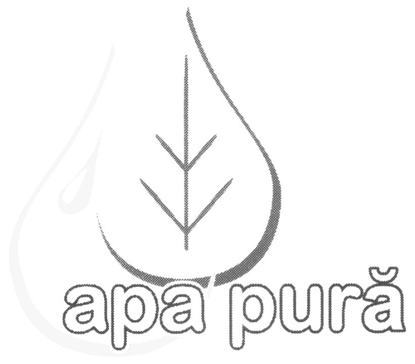 APA PURÃ