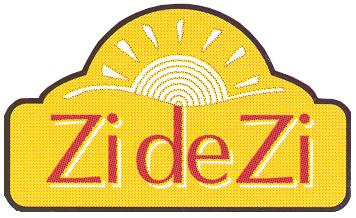 ZI de ZI