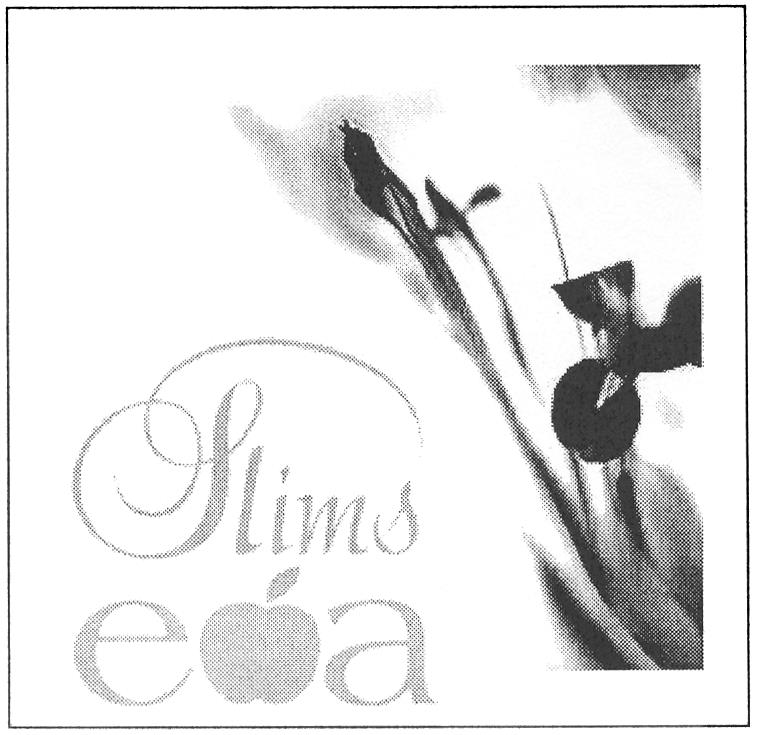 SLIMS EVA EA