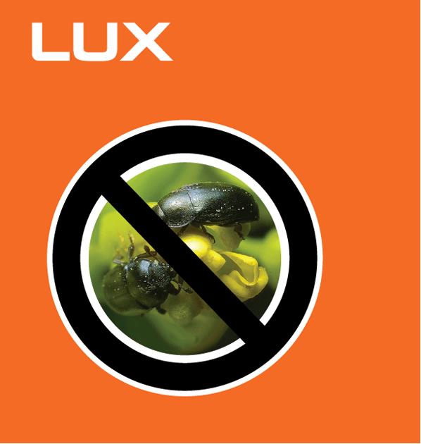 LUX