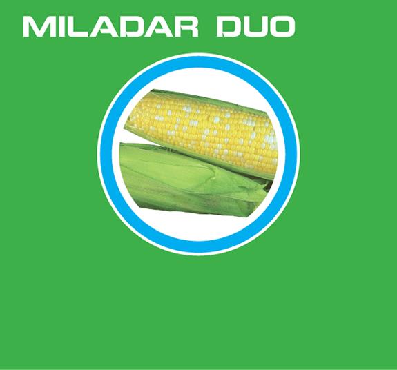 MILADAR DUO