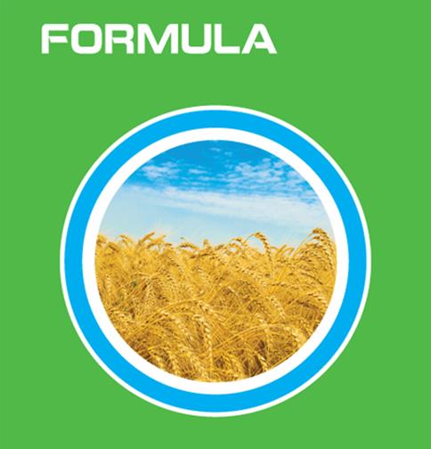 FORMULA