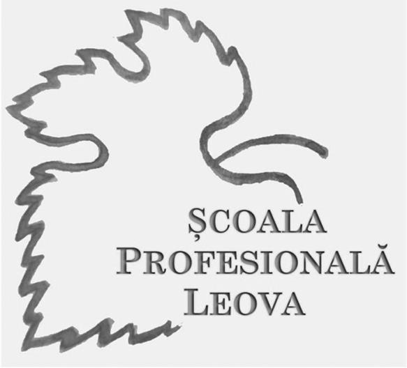 ªCOALA PROFESIONALÃ LEOVA