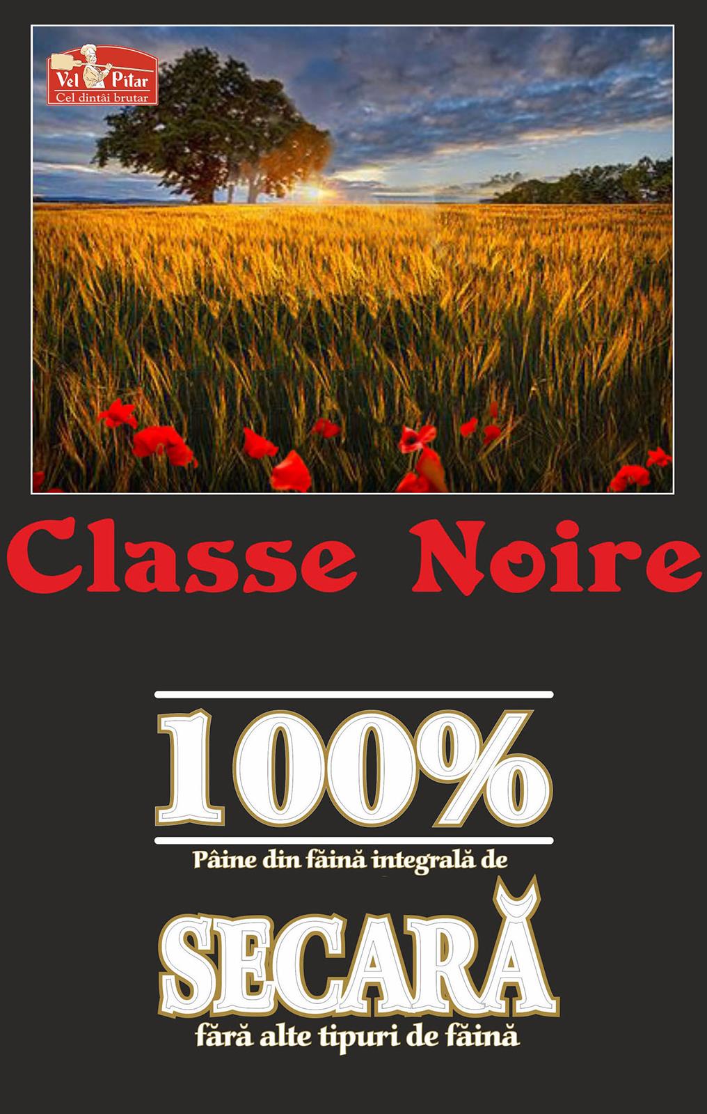 CLASSE NOIRE 100% PÂINE DIN FÃINÃ INTEGRALÃ DE SECARÃ FÃRÃ ALTE TIPURI DE FÃINÃ VEL PITAR CEL DINTÂI BRUTAR