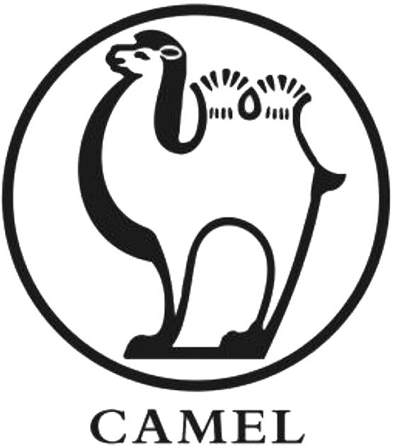 CAMEL