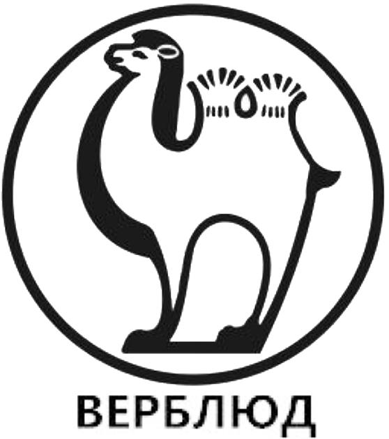 VERBLIUD