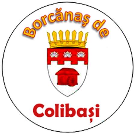 BORCÃNAª DE COLIBAªI